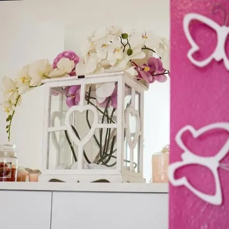 Apartment Butterfly *